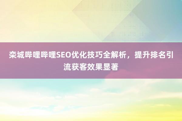 栾城哔哩哔哩SEO优化技巧全解析，提升排名引流获客效果显著