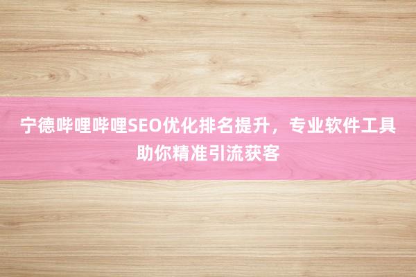 宁德哔哩哔哩SEO优化排名提升，专业软件工具助你精准引流获客