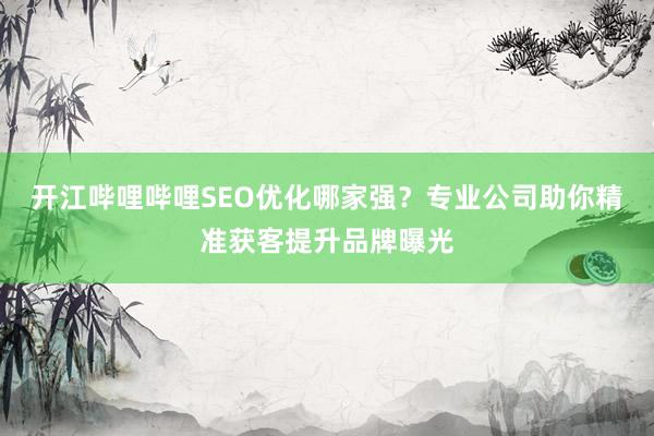 开江哔哩哔哩SEO优化哪家强？专业公司助你精准获客提升品牌曝光