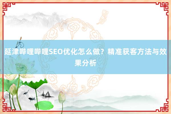 延津哔哩哔哩SEO优化怎么做？精准获客方法与效果分析
