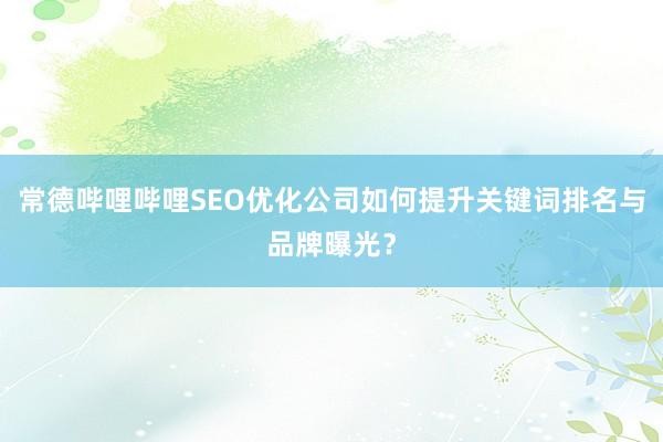 常德哔哩哔哩SEO优化公司如何提升关键词排名与品牌曝光？
