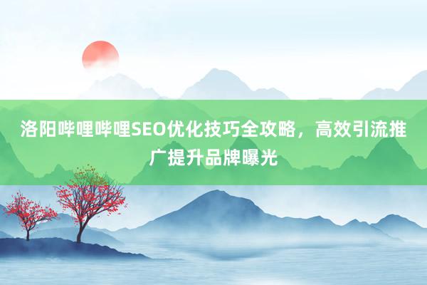 洛阳哔哩哔哩SEO优化技巧全攻略，高效引流推广提升品牌曝光