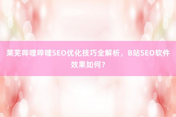 莱芜哔哩哔哩SEO优化技巧全解析，B站SEO软件效果如何？