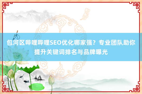 包河区哔哩哔哩SEO优化哪家强？专业团队助你提升关键词排名与品牌曝光