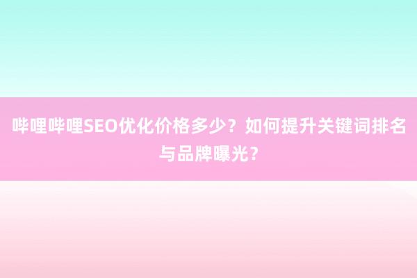 哔哩哔哩SEO优化价格多少？如何提升关键词排名与品牌曝光？