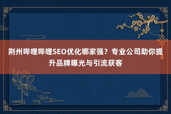 荆州哔哩哔哩SEO优化哪家强？专业公司助你提升品牌曝光与引流获客