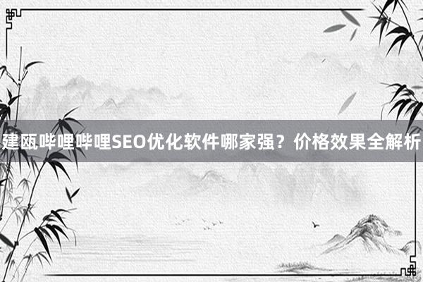建瓯哔哩哔哩SEO优化软件哪家强？价格效果全解析