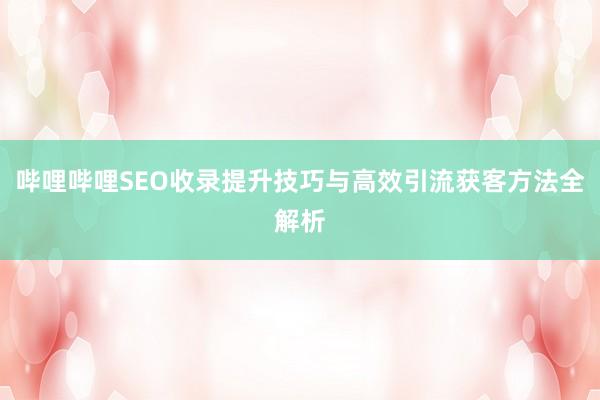哔哩哔哩SEO收录提升技巧与高效引流获客方法全解析