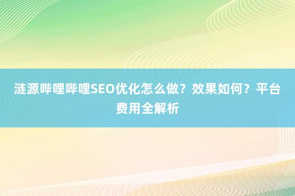 涟源哔哩哔哩SEO优化怎么做？效果如何？平台费用全解析