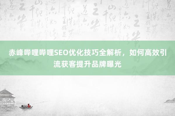 赤峰哔哩哔哩SEO优化技巧全解析，如何高效引流获客提升品牌曝光