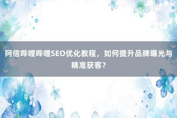 阿信哔哩哔哩SEO优化教程，如何提升品牌曝光与精准获客？