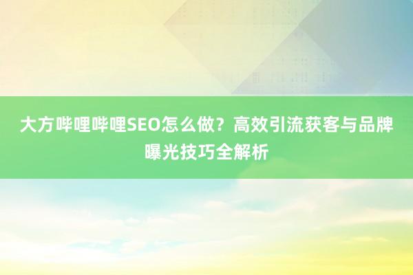 大方哔哩哔哩SEO怎么做？高效引流获客与品牌曝光技巧全解析