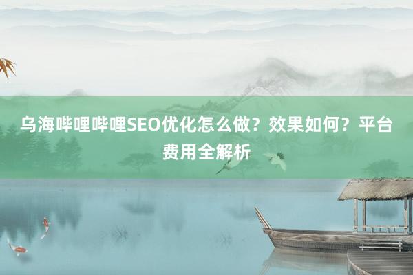 乌海哔哩哔哩SEO优化怎么做？效果如何？平台费用全解析