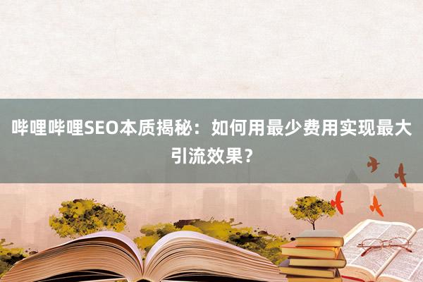 哔哩哔哩SEO本质揭秘：如何用最少费用实现最大引流效果？