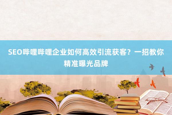 SEO哔哩哔哩企业如何高效引流获客？一招教你精准曝光品牌
