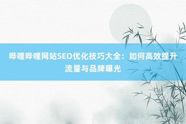 哔哩哔哩网站SEO优化技巧大全：如何高效提升流量与品牌曝光