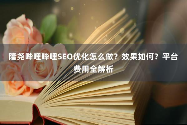 隆尧哔哩哔哩SEO优化怎么做？效果如何？平台费用全解析
