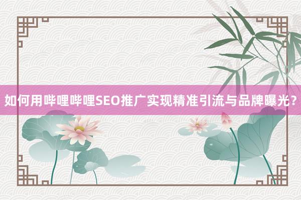 如何用哔哩哔哩SEO推广实现精准引流与品牌曝光？