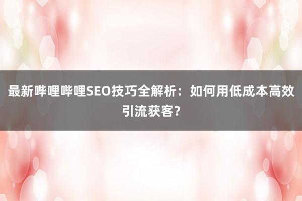 最新哔哩哔哩SEO技巧全解析：如何用低成本高效引流获客？