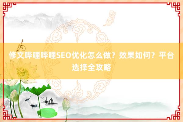 修文哔哩哔哩SEO优化怎么做？效果如何？平台选择全攻略