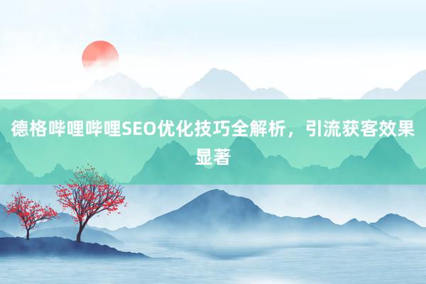 德格哔哩哔哩SEO优化技巧全解析，引流获客效果显著