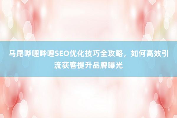 马尾哔哩哔哩SEO优化技巧全攻略，如何高效引流获客提升品牌曝光