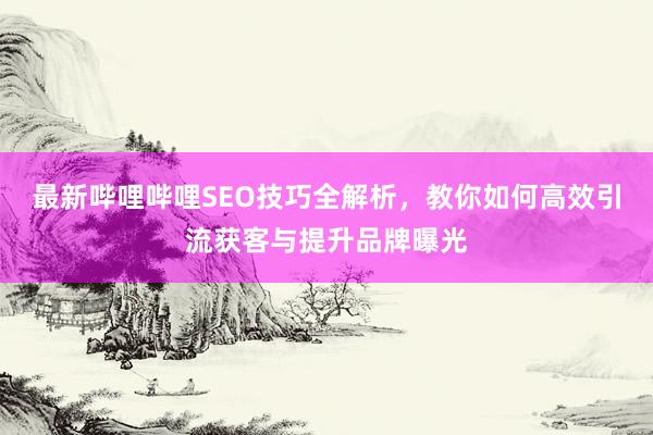 最新哔哩哔哩SEO技巧全解析，教你如何高效引流获客与提升品牌曝光