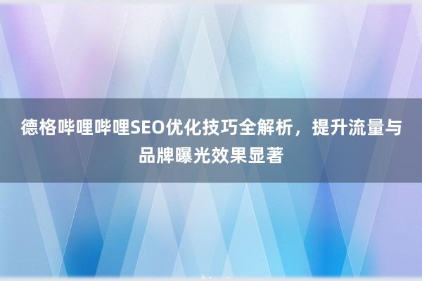 德格哔哩哔哩SEO优化技巧全解析，提升流量与品牌曝光效果显著