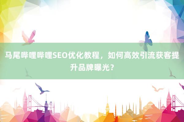 马尾哔哩哔哩SEO优化教程，如何高效引流获客提升品牌曝光？