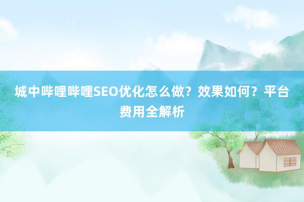 城中哔哩哔哩SEO优化怎么做？效果如何？平台费用全解析