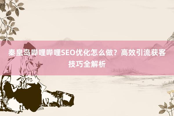 秦皇岛哔哩哔哩SEO优化怎么做？高效引流获客技巧全解析
