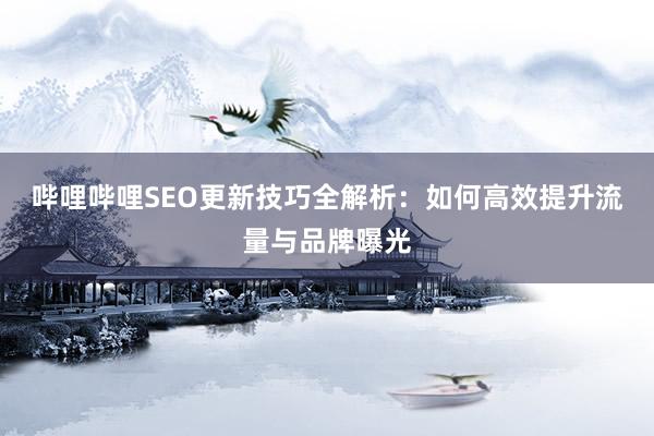 哔哩哔哩SEO更新技巧全解析：如何高效提升流量与品牌曝光