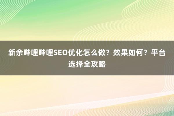 新余哔哩哔哩SEO优化怎么做？效果如何？平台选择全攻略