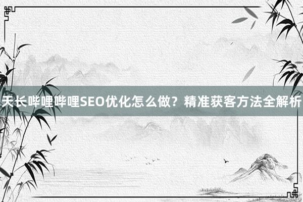 天长哔哩哔哩SEO优化怎么做？精准获客方法全解析