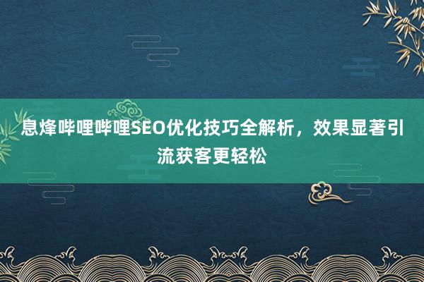 息烽哔哩哔哩SEO优化技巧全解析，效果显著引流获客更轻松