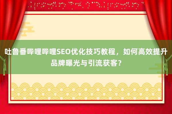 吐鲁番哔哩哔哩SEO优化技巧教程，如何高效提升品牌曝光与引流获客？