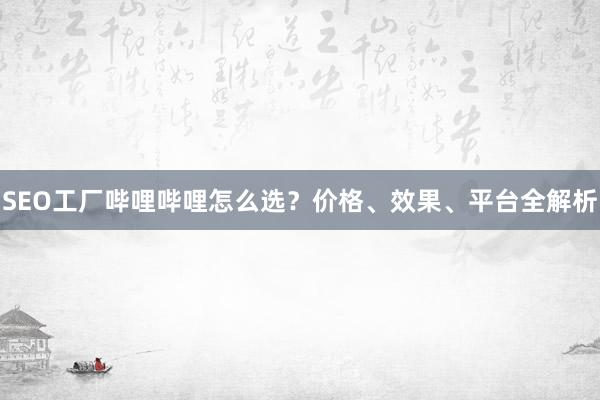 SEO工厂哔哩哔哩怎么选？价格、效果、平台全解析