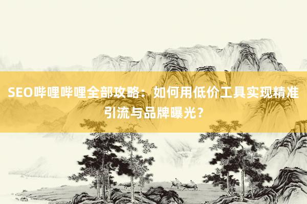 SEO哔哩哔哩全部攻略：如何用低价工具实现精准引流与品牌曝光？