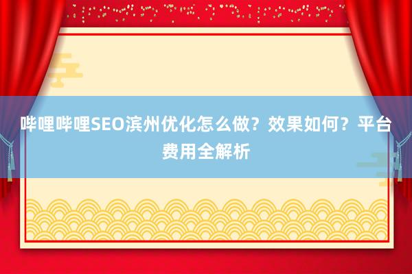 哔哩哔哩SEO滨州优化怎么做？效果如何？平台费用全解析