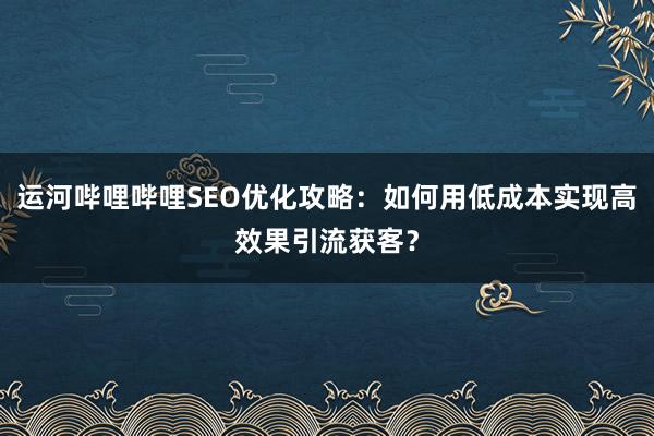 运河哔哩哔哩SEO优化攻略：如何用低成本实现高效果引流获客？