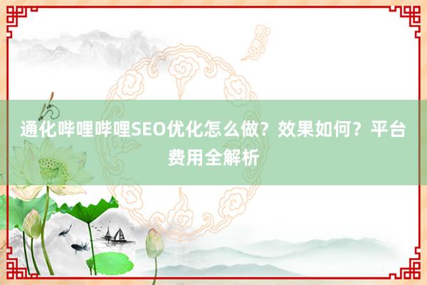 通化哔哩哔哩SEO优化怎么做？效果如何？平台费用全解析