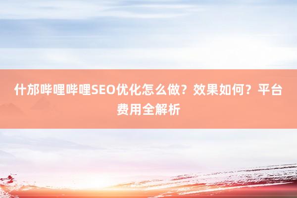什邡哔哩哔哩SEO优化怎么做？效果如何？平台费用全解析
