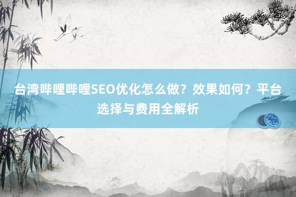 台湾哔哩哔哩SEO优化怎么做？效果如何？平台选择与费用全解析