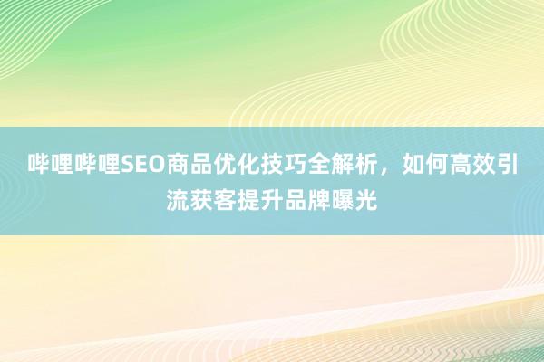 哔哩哔哩SEO商品优化技巧全解析，如何高效引流获客提升品牌曝光