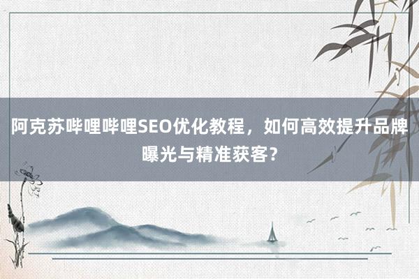 阿克苏哔哩哔哩SEO优化教程，如何高效提升品牌曝光与精准获客？