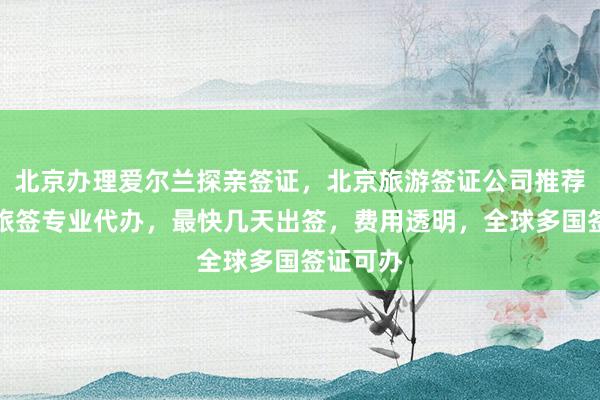 北京办理爱尔兰探亲签证，北京旅游签证公司推荐，华网旅签专业代办，最快几天出签，费用透明，全球多国签证可办